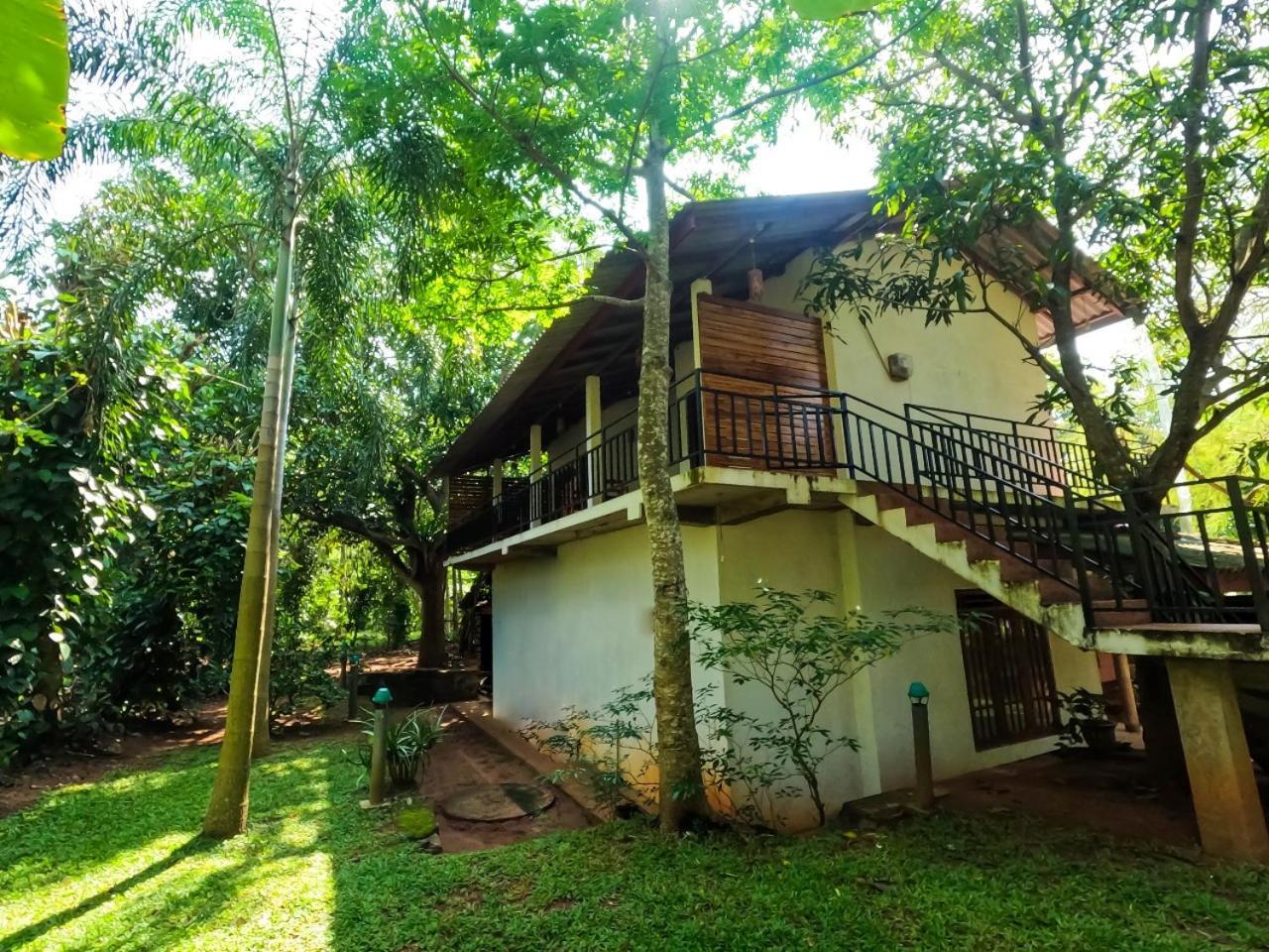 Hotel Wild Heaven Udawalawe Exterior foto